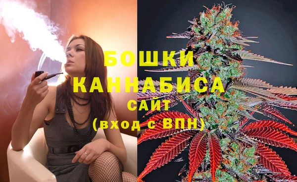 соль ск Богородицк